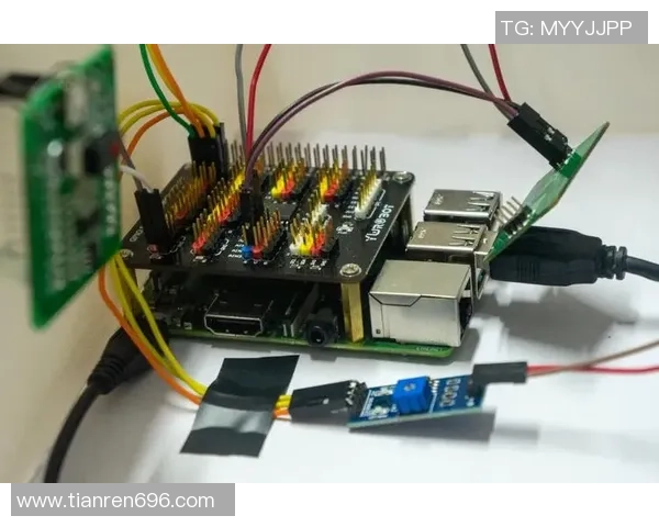 AL与GEN之巅峰对决揭示未来智能进化的关键转折点