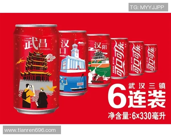 武汉三镇城市发展与历史文化传承融合探索及未来愿景展望