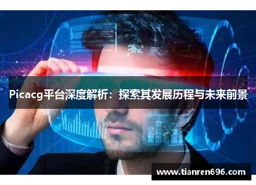 Picacg平台深度解析：探索其发展历程与未来前景
